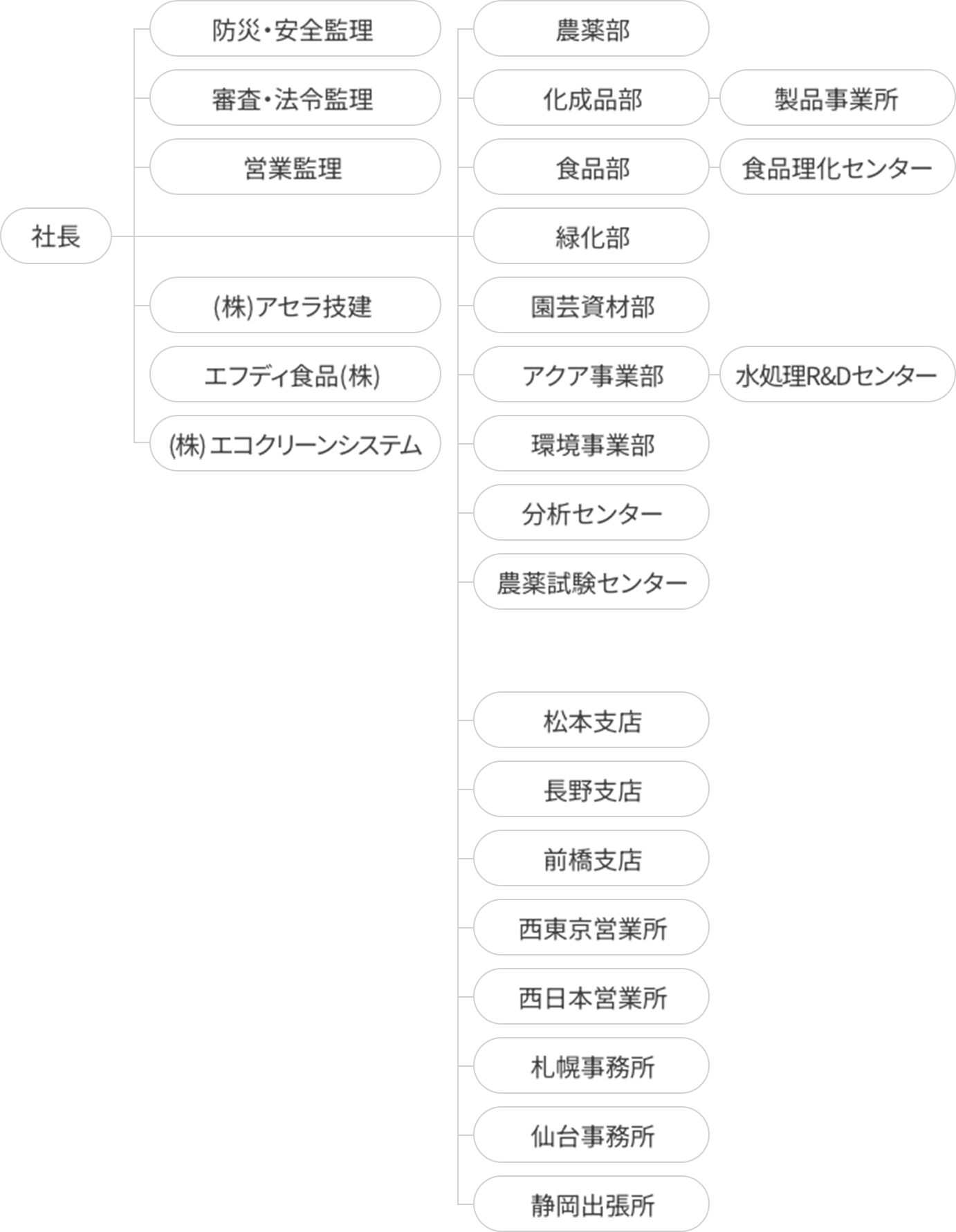 組織図